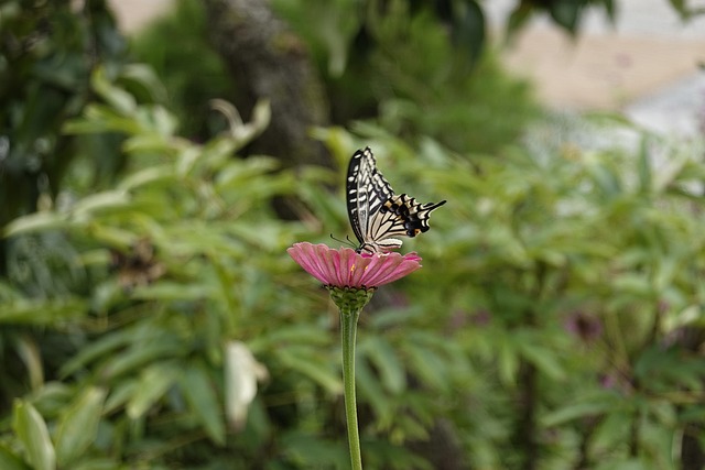 过度暴露