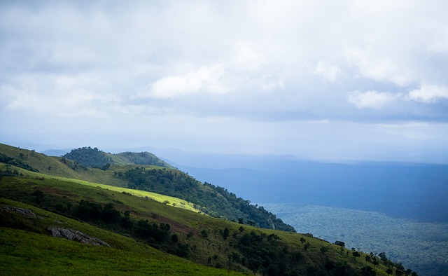 未来展望 未来展望